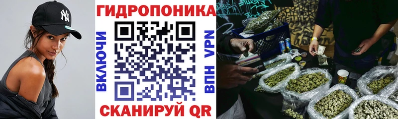 Канабис Bruce Banner  Холм 